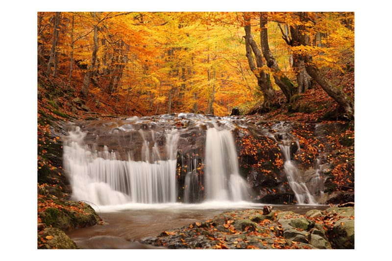 Fototapet Autumn Landscape Waterfall In Forest 200x154 - Artgeist sp. z o. o. - Fototapeter