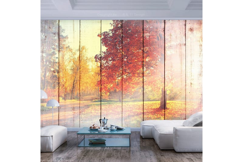 Fototapet Autumn Sun 350x245 - Finnes i flere størrelser - Innredning - Veggdekorasjon - Tapeter - Fototapeter