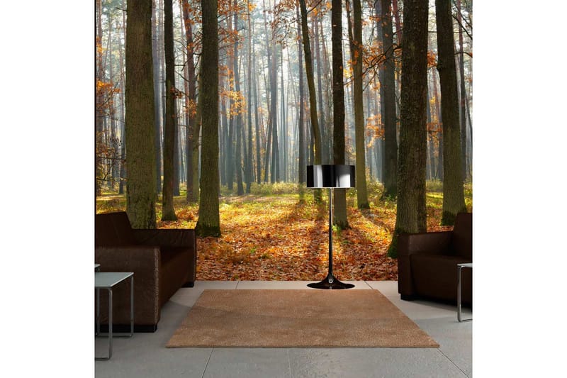 Fototapet Autumn Trees 300x231 - Artgeist sp. z o. o. - Innredning - Veggdekorasjon - Tapeter - Fototapeter