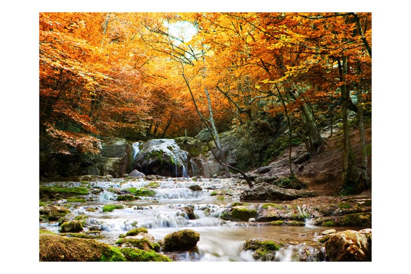 Fototapet Autumn Waterfall 200x154, Artgeist sp. z o. o.
