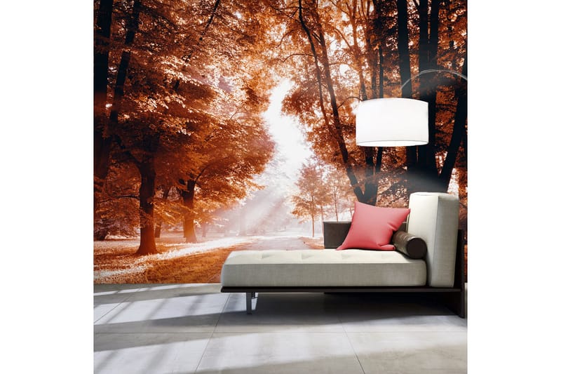 Fototapet Autumn Park 400x280, Artgeist sp. z o. o.