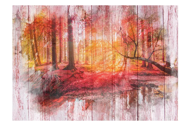 Fototapet Autumnal Forest 300x210 - Finnes i flere størrelser - Innredning - Veggdekorasjon - Tapeter - Fototapeter