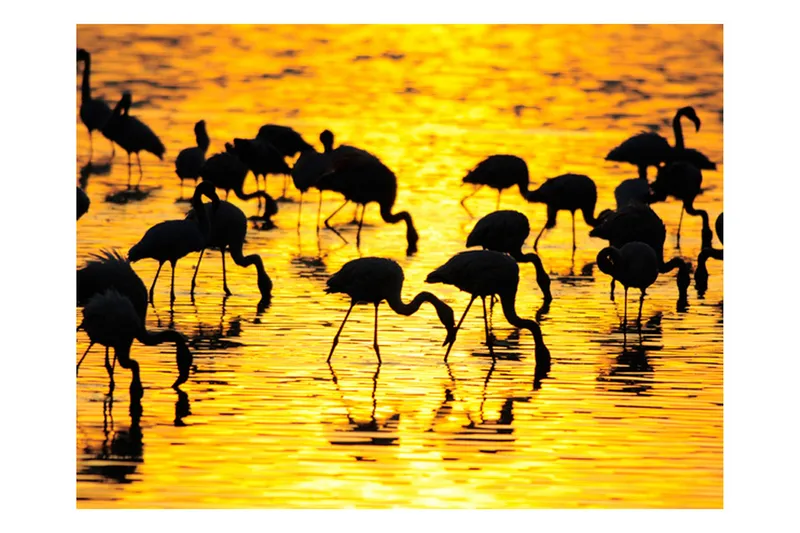Fototapet Avslappende Stund Orkidé & Stener 250x193, Artgeist sp. z o. o.