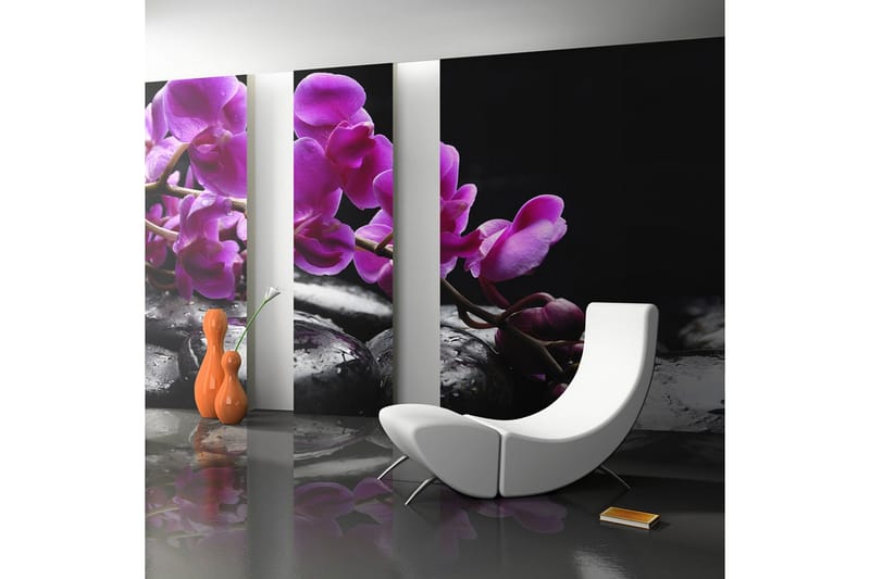 Fototapet Avslappende Stund Orkidé Og Steiner 450x270, Artgeist sp. z o. o.