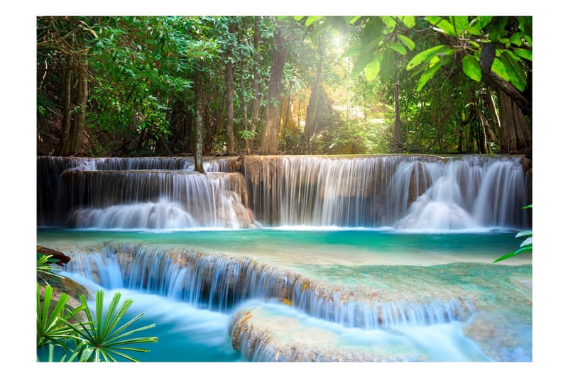 Fototapet Awakening Of Nature 150x105 - Artgeist sp. z o. o. - Innredning - Veggdekorasjon - Tapeter - Fototapeter