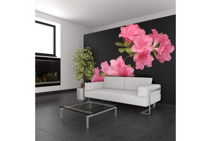 Fototapet Azalea In Black 350x270 - Artgeist sp. z o. o. - Innredning - Veggdekorasjon - Tapeter - Fototapeter