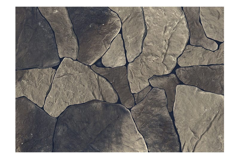 Fototapet Baltic Brown 200x140 - Artgeist sp. z o. o. - Innredning - Veggdekorasjon - Tapeter - Fototapeter