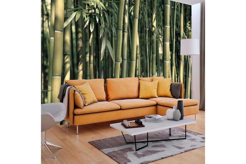 Fototapet Bamboo Exotic 300x210 - Artgeist sp. z o. o. - Innredning - Veggdekorasjon - Tapeter - Fototapeter