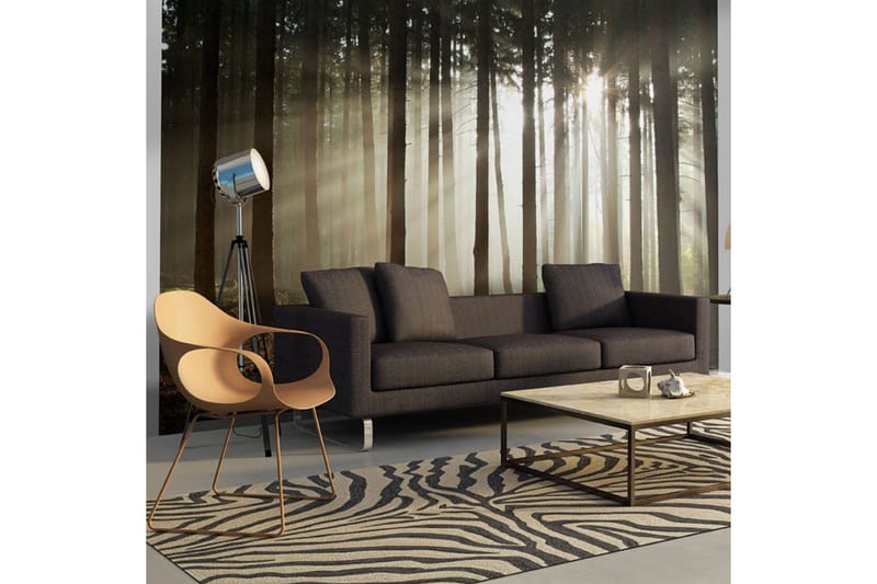 Fototapet Barrskog 250x193 - Artgeist sp. z o. o. - Innredning - Veggdekorasjon - Tapeter - Fototapeter