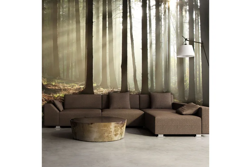 Fototapet Barskog 450x270, Artgeist sp. z o. o.