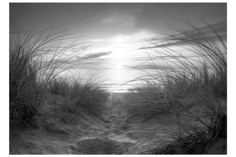 Fototapet Beach Black And White 150x105 - Artgeist sp. z o. o. - Innredning - Veggdekorasjon - Tapeter - Fototapeter