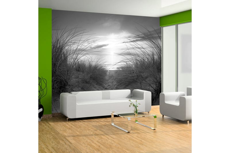 Fototapet Beach Black And White 350x245 - Artgeist sp. z o. o. - Innredning - Veggdekorasjon - Tapeter - Fototapeter