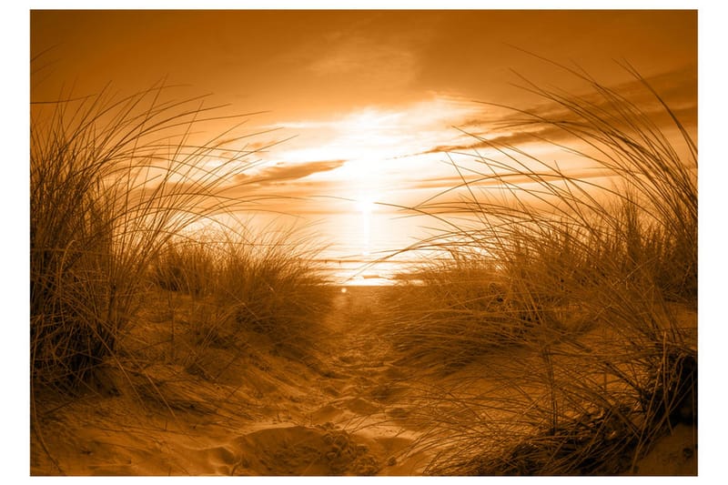 Fototapet Beach Sepia 400x280 - Artgeist sp. z o. o. - Innredning - Veggdekorasjon - Tapeter - Fototapeter