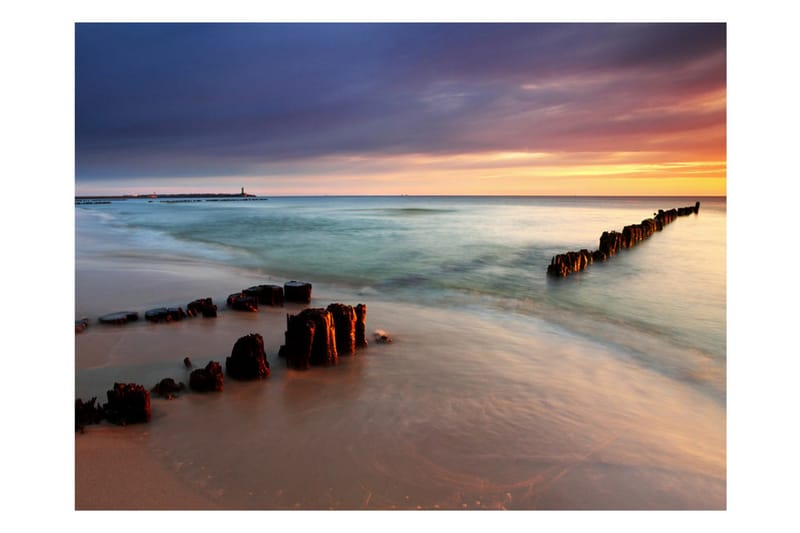 Fototapet Beach Sunrise 250x193 - Artgeist sp. z o. o. - Innredning - Veggdekorasjon - Tapeter - Fototapeter