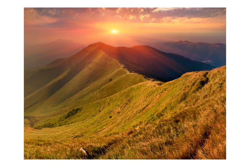 Fototapet Beautiful Autumn Landscape Carpathian 200x154 - Artgeist sp. z o. o. - Innredning - Veggdekorasjon - Tapeter - Fototapeter