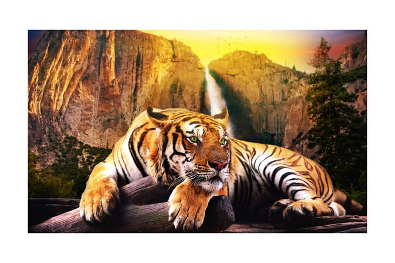 Fototapet Beauty And The Beast 450x270 - Artgeist sp. z o. o. - Innredning - Veggdekorasjon - Tapeter - Fototapeter