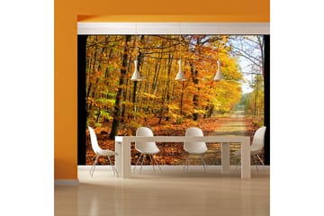 Fototapet Beech Forest 250x193 - Artgeist sp. z o. o. - Innredning - Veggdekorasjon - Tapeter - Fototapeter