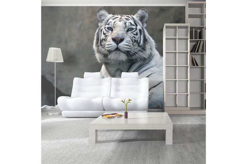Fototapet Bengali Tiger Zoo 250x193 - Artgeist sp. z o. o. - Innredning - Veggdekorasjon - Tapeter - Fototapeter