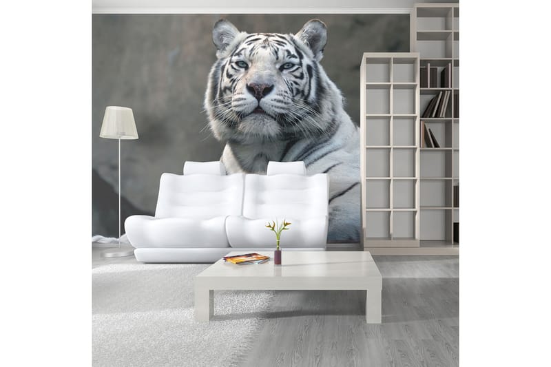 Fototapet Bengali Tiger Zoo 450x270 - Artgeist sp. z o. o. - Innredning - Veggdekorasjon - Tapeter - Fototapeter