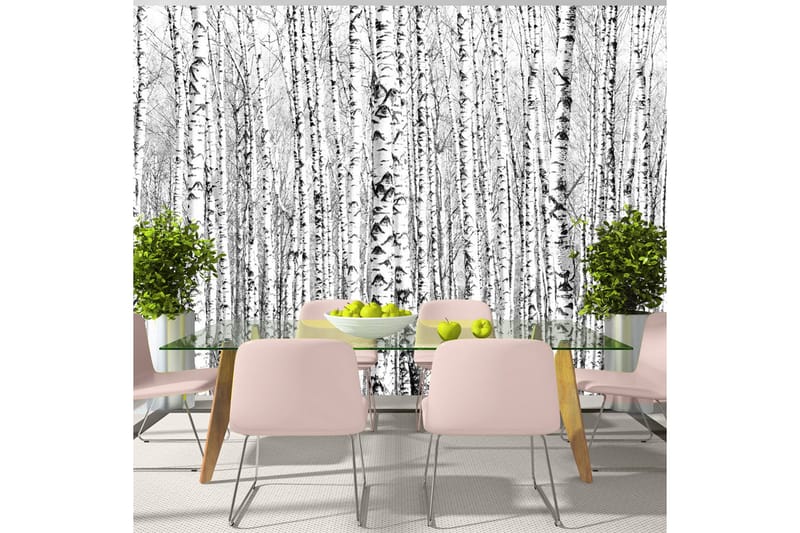 Fototapet Birch Forest 250x175, Artgeist sp. z o. o.