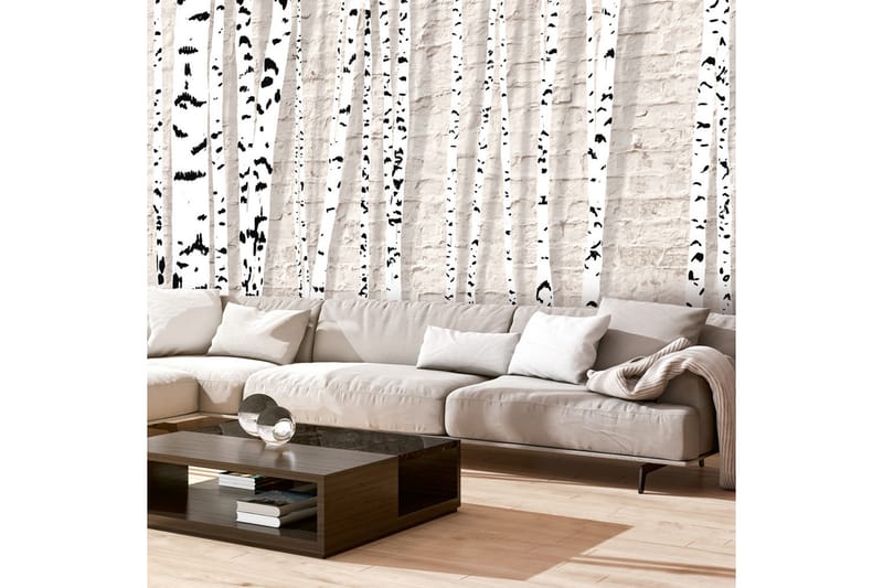 Fototapet Birchen Grove 300x210, Artgeist sp. z o. o.