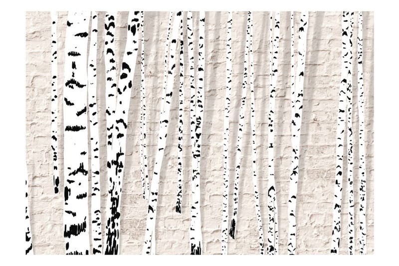 Fototapet Birchen Grove 350x245 - Artgeist sp. z o. o. - Innredning - Veggdekorasjon - Tapeter - Fototapeter