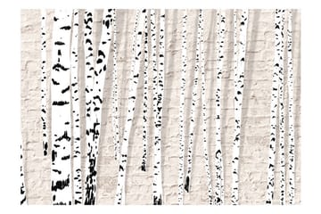 Fototapet Birchen Grove 400x280 - Artgeist sp. z o. o. - Innredning - Veggdekorasjon - Tapeter - Fototapeter