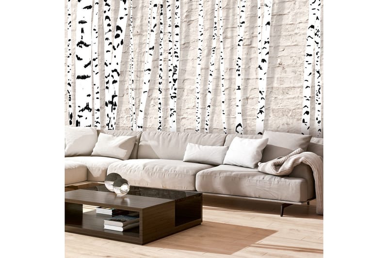 Fototapet Birchen Grove 400x280, Artgeist sp. z o. o.