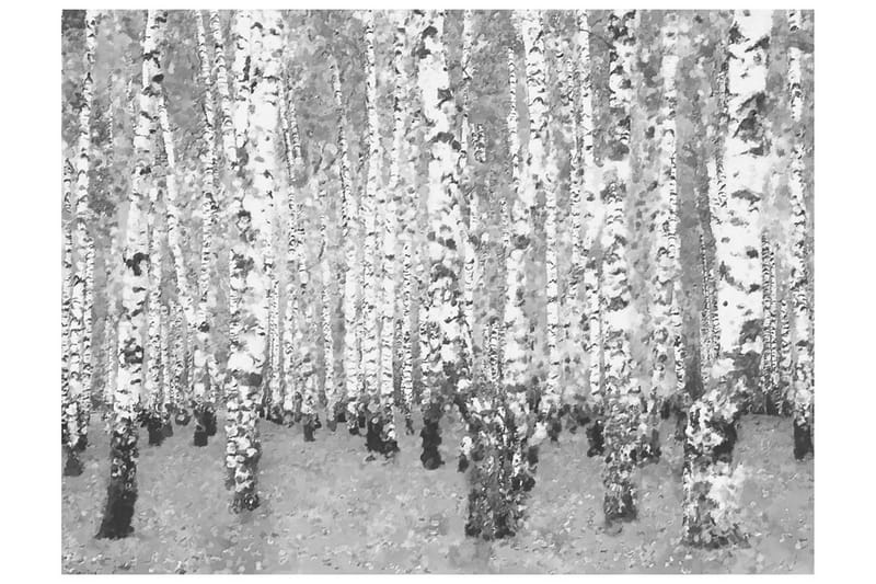 Fototapet Bjørk Avskildhet 200x154, Artgeist sp. z o. o.