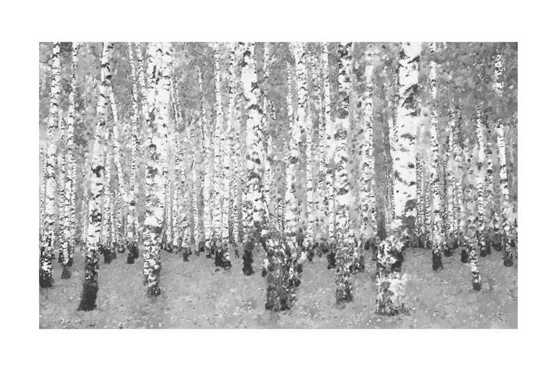 Fototapet Bjørk Avskildhet 450x270 - Artgeist sp. z o. o. - Innredning - Veggdekorasjon - Tapeter - Fototapeter