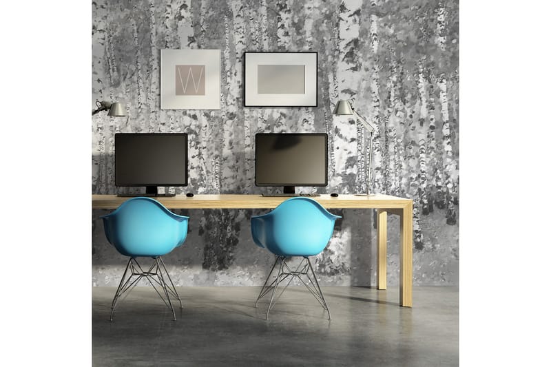 Fototapet Bjørk Avskildhet 450x270 - Artgeist sp. z o. o. - Innredning - Veggdekorasjon - Tapeter - Fototapeter