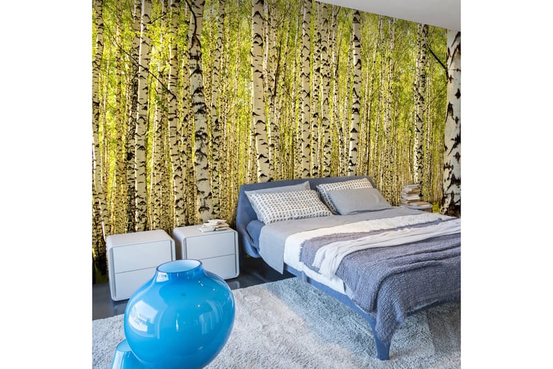 Fototapet Bjørkeskog 450x270, Artgeist sp. z o. o.