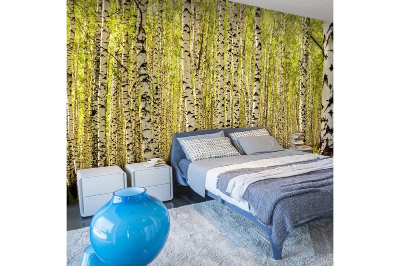 Fototapet Bjørkeskog 450x270, Artgeist sp. z o. o.