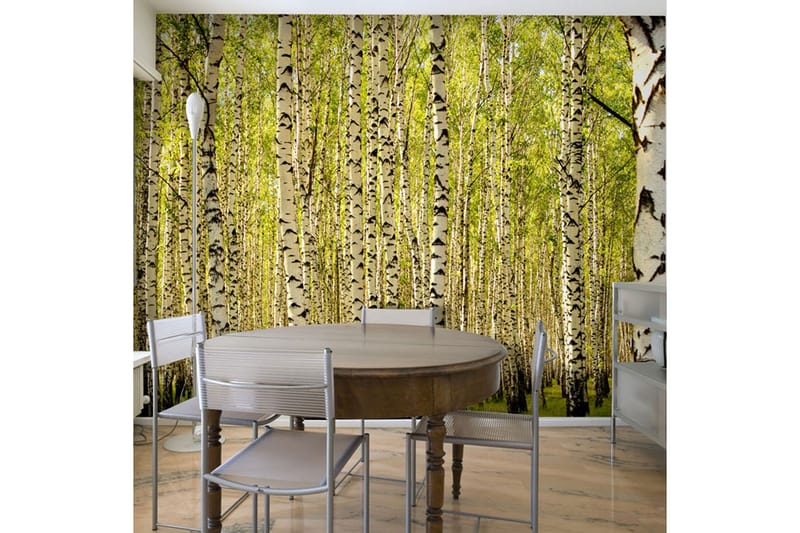 Fototapet Bjørkskog 200x154, Artgeist sp. z o. o.