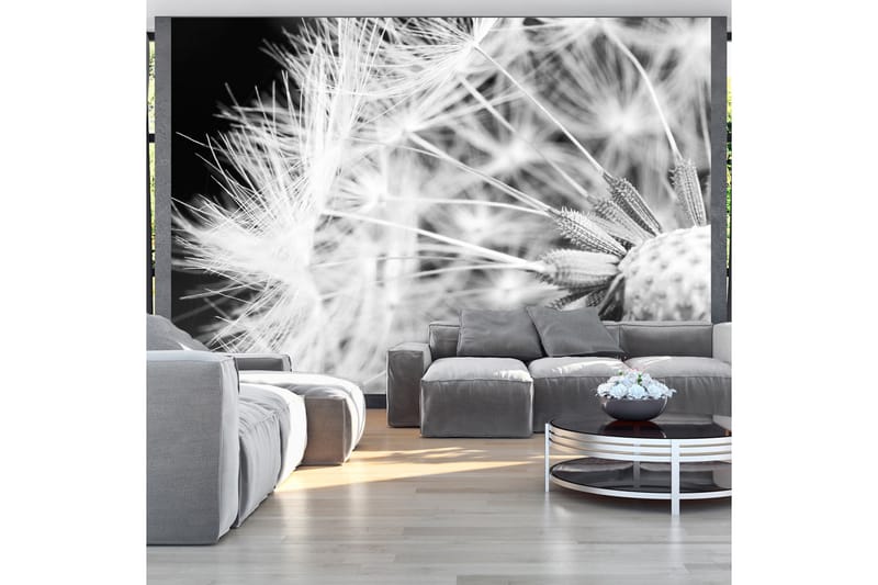 Fototapet Black And White Dandelion 100x70 - Artgeist sp. z o. o. - Innredning - Veggdekorasjon - Tapeter - Fototapeter