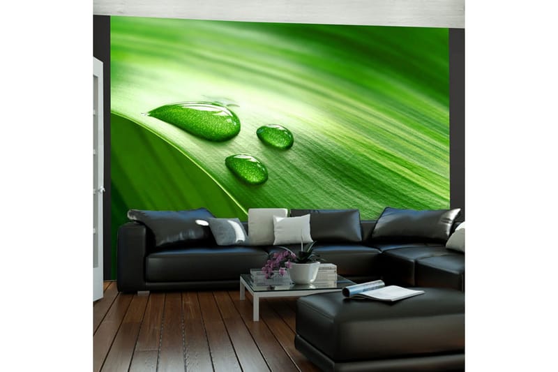 Fototapet Blad Og Tre Droper Vann 350x270 - Artgeist sp. z o. o. - Innredning - Veggdekorasjon - Tapeter - Fototapeter