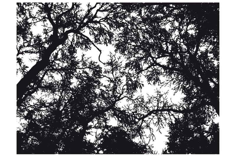 Fototapet Bleak Forest 250x193 - Artgeist sp. z o. o. - Innredning - Veggdekorasjon - Tapeter - Fototapeter