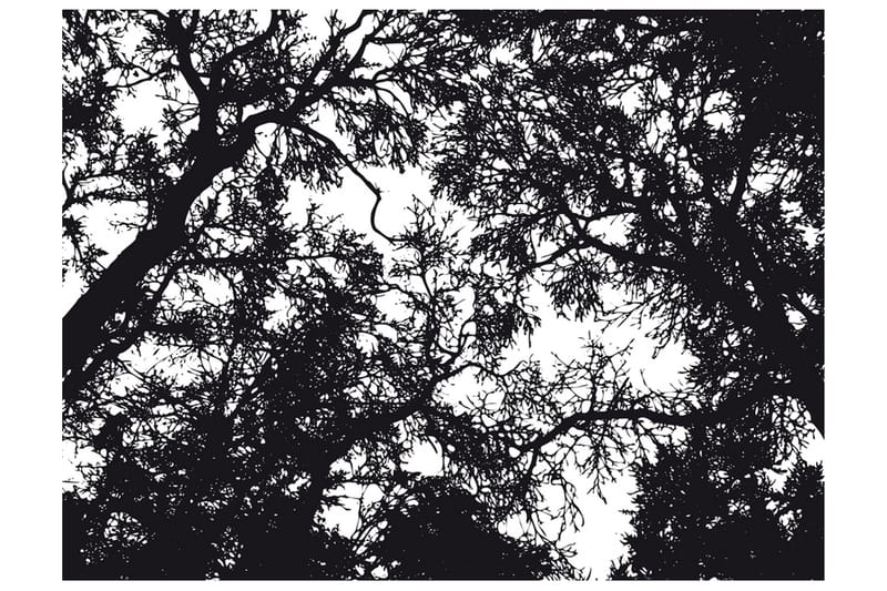 Fototapet Bleak Forest 400x309 - Artgeist sp. z o. o. - Innredning - Veggdekorasjon - Tapeter - Fototapeter