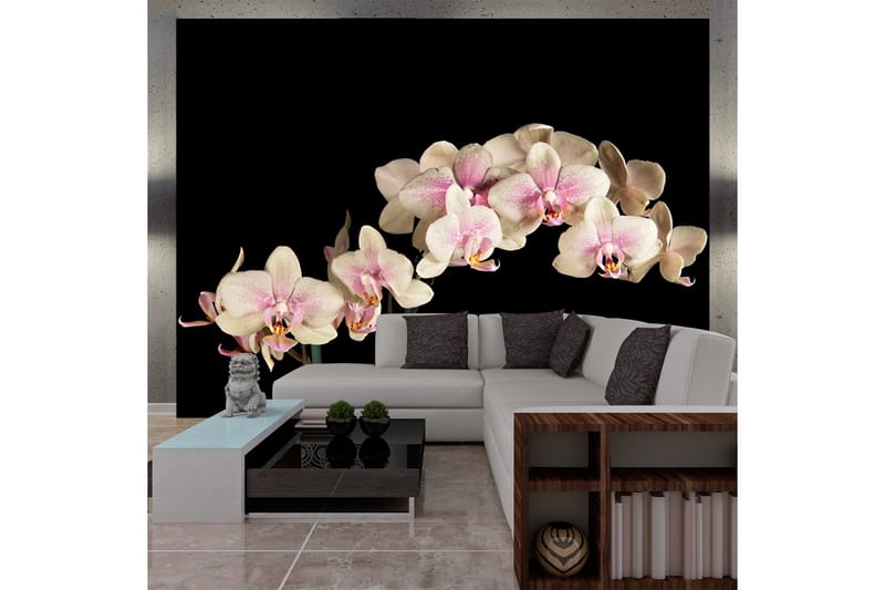 Fototapet Blooming Orchid 200x154, Artgeist sp. z o. o.