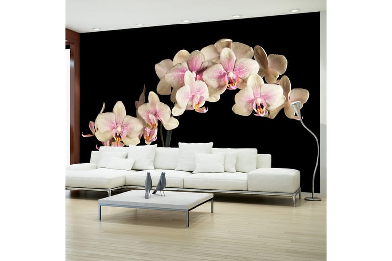 Fototapet Blooming Orchid 450x270 - Artgeist sp. z o. o. - Innredning - Veggdekorasjon - Tapeter - Fototapeter