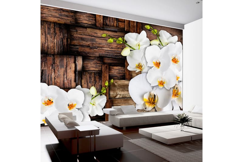 Fototapet Blooming Orchids 250x175 - Artgeist sp. z o. o. - Innredning - Veggdekorasjon - Tapeter - Fototapeter