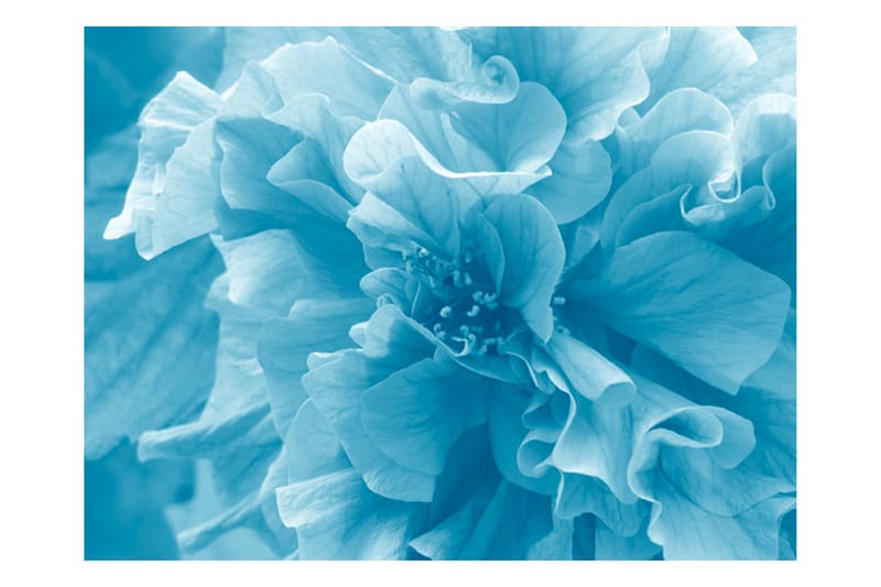 Fototapet Blue Azalea 300x231 - Artgeist sp. z o. o. - Innredning - Veggdekorasjon - Tapeter - Fototapeter