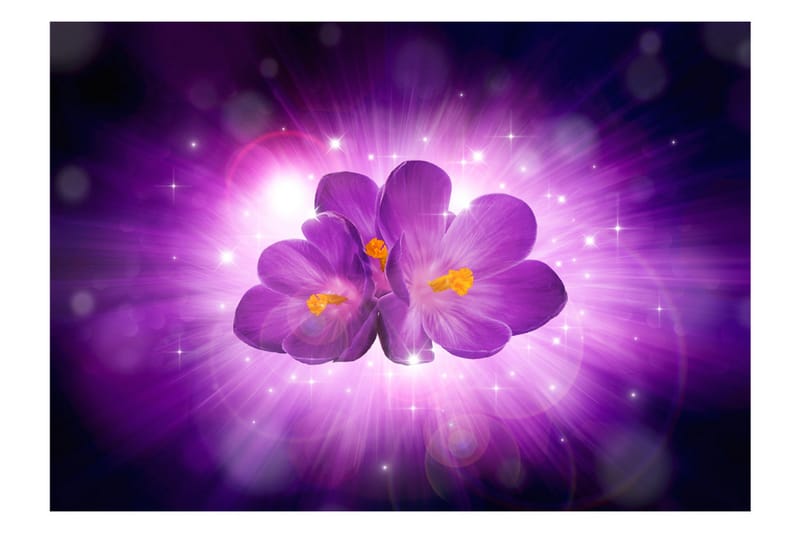 Fototapet Breath Of Spring 300x210 - Artgeist sp. z o. o. - Innredning - Veggdekorasjon - Tapeter - Fototapeter