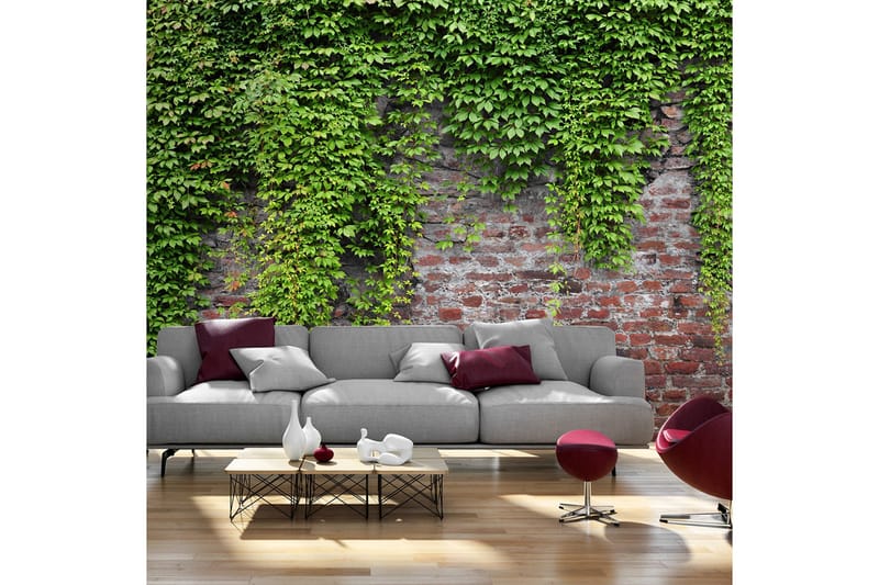 Fototapet Brick And Ivy 350x245 - Artgeist sp. z o. o. - Innredning - Veggdekorasjon - Tapeter - Fototapeter