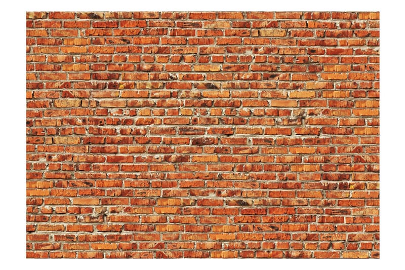 Fototapet Brick Wall 300x210 - Artgeist sp. z o. o. - Fototapeter