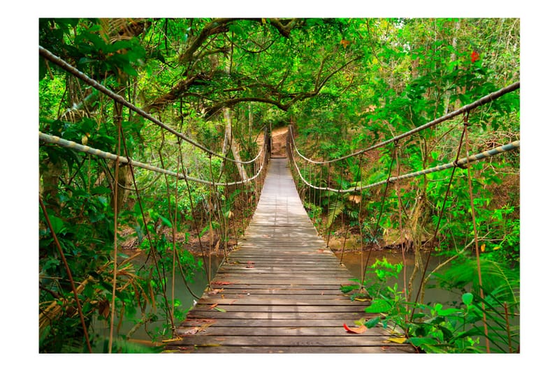 Fototapet Bridge Amid Greenery 200x140 - Artgeist sp. z o. o. - Innredning - Veggdekorasjon - Tapeter - Fototapeter