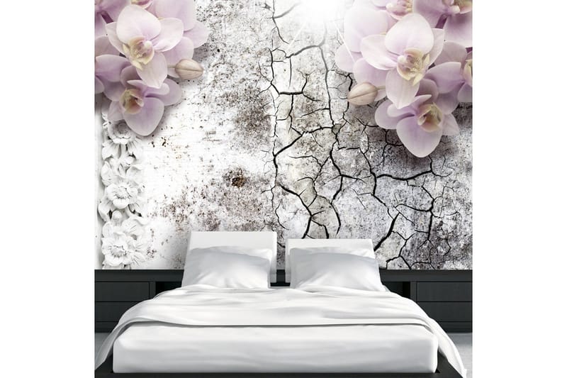 Fototapet Bright Red Orchids 150x105, Artgeist sp. z o. o.