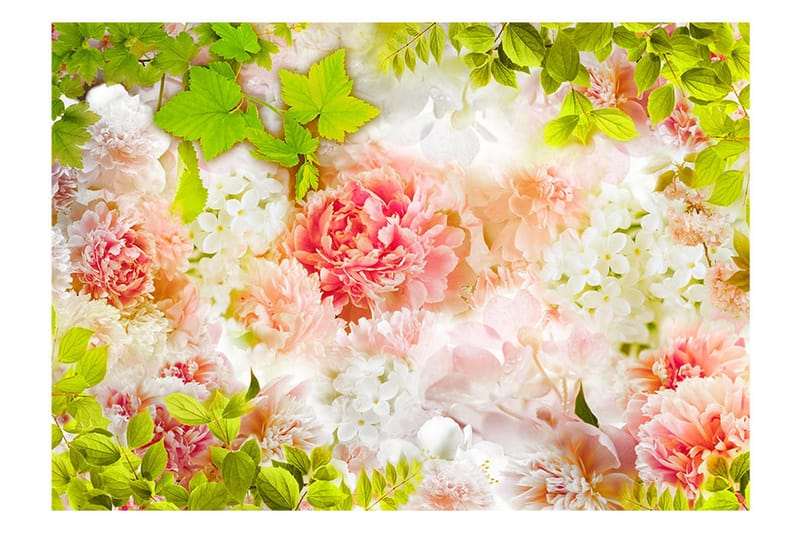 Fototapet Bright Peonies 300x210 - Artgeist sp. z o. o. - Innredning - Veggdekorasjon - Tapeter - Fototapeter