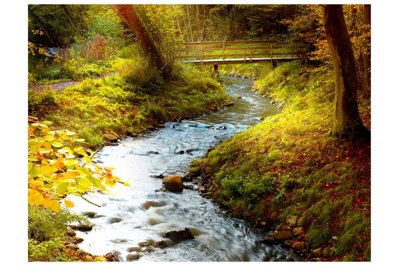Fototapet Brook Sunrise 400x309 - Artgeist sp. z o. o. - Innredning - Veggdekorasjon - Tapeter - Fototapeter