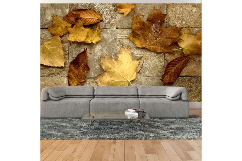 Fototapet Bud Om Høsten 450x270, Artgeist sp. z o. o.